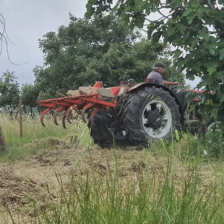 בית נופש Casa Da Padaria *