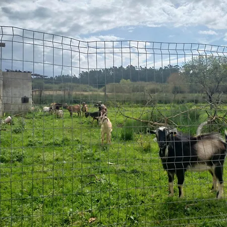 Casa Da Padaria * קלדס דה ריינה