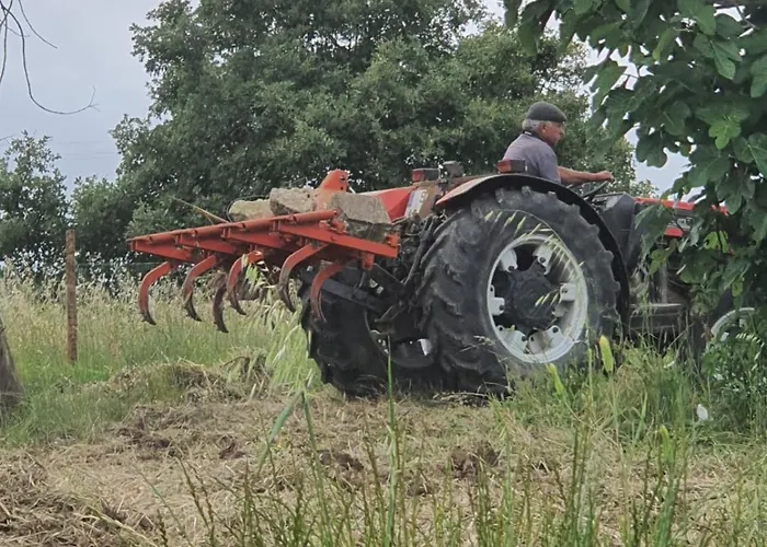 Vakantiehuis Casa Da Padaria *