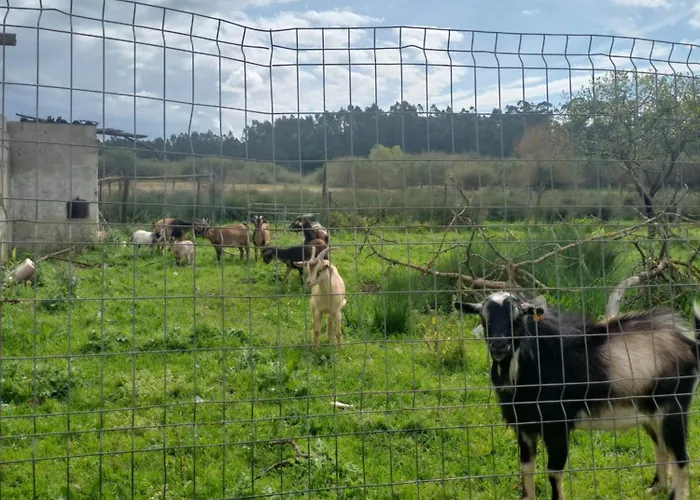 Casa Da Padaria * كالداس دا راينها